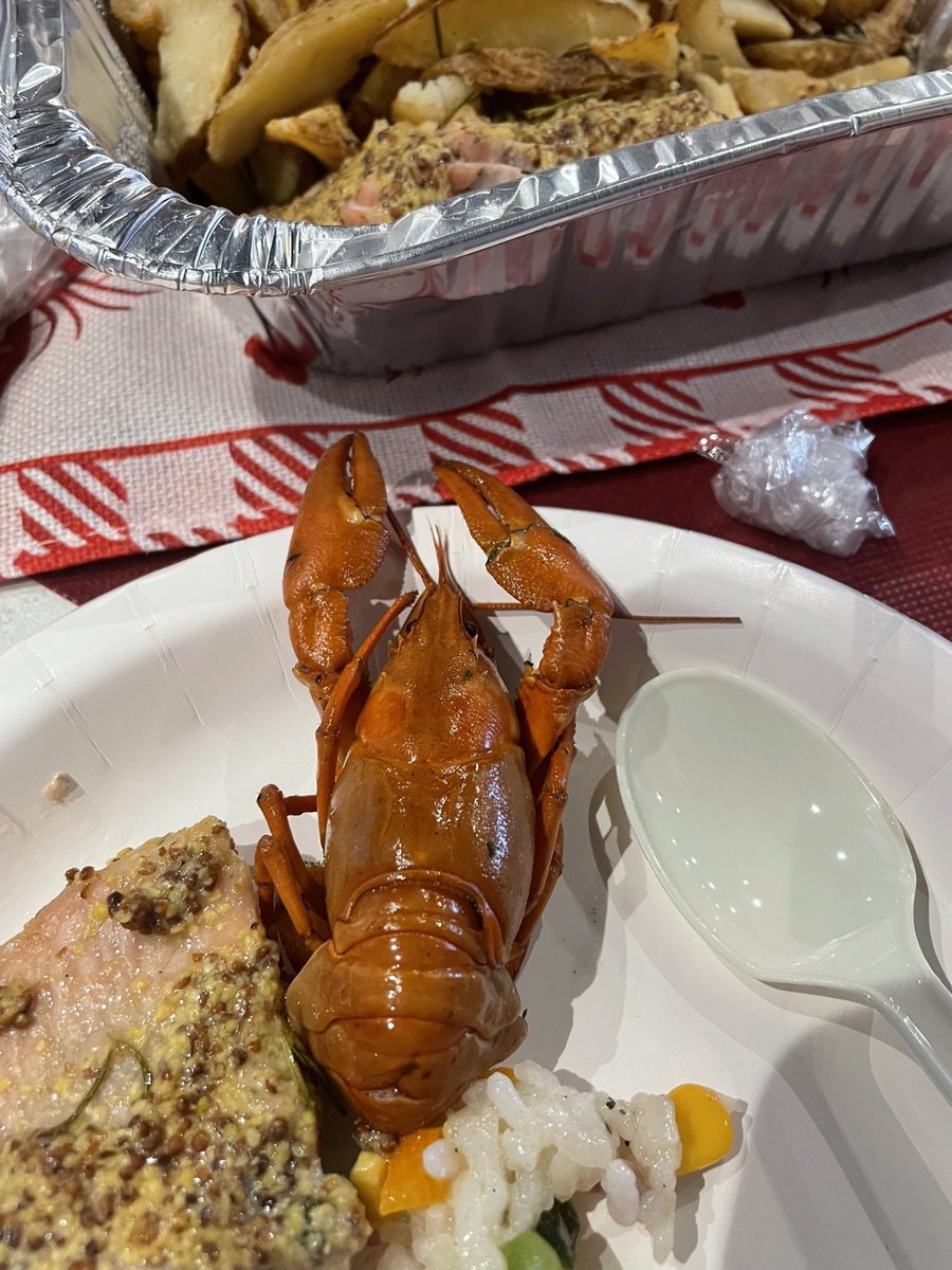 先日<a href="/sweaters_jp/">Sweäters（スウェターズ）in JISS</a> さん主催のザリガニパーティーに参加してきたりしました〜🌼🇸🇪

スウェーデン好きな方々とお話しできて楽しかった〜〜たまには教育・ユースワーク系以外のイベント行くのも楽しいなと思った🫢