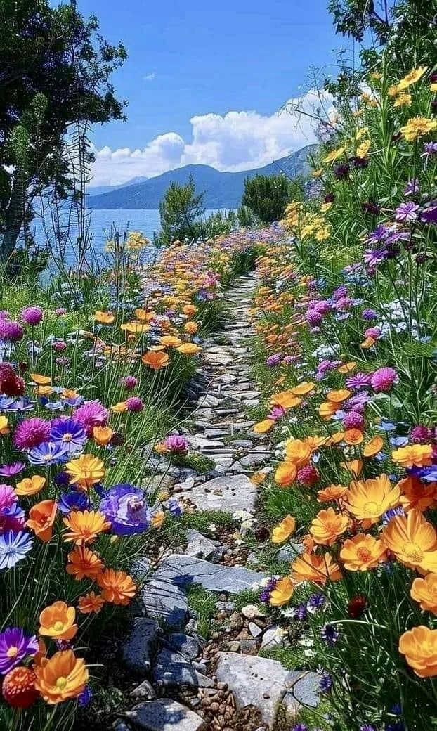 ࿐❥𝖳𝖾𝗋𝖾𝗌𝖺 𝖫 ࿐❥  tweet media