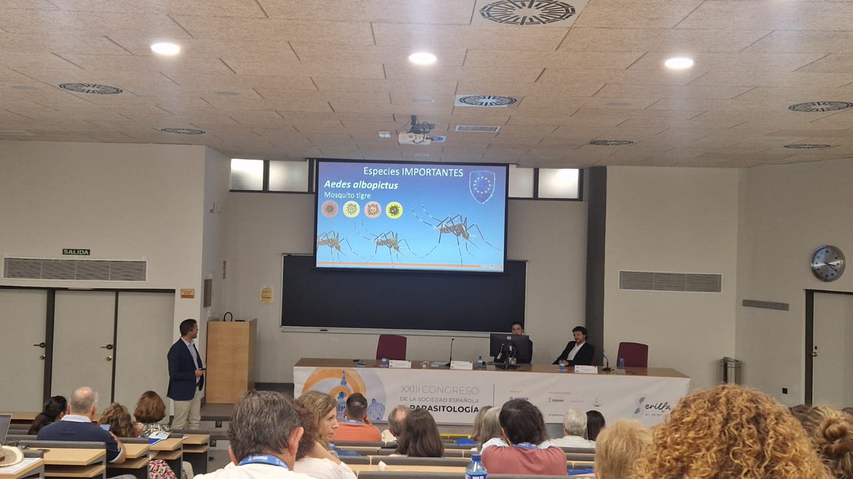 ¡Gran experiencia en la mesa redonda "Parásitos como vectores de patógenos" <a href="/Socepa2024/">SOCEPA 2024</a>! Tuve el honor de hablar sobre mosquitos, y mis compañeros <a href="/ArrondoRuiz/">Ignacio Ruiz Arrondo</a> y <a href="/AZuritaCarrasco/">Antonio Zurita</a> profundizaron en simúlidos y pulgas. Esencial para entender y combatir la transmisión de patógenos.
