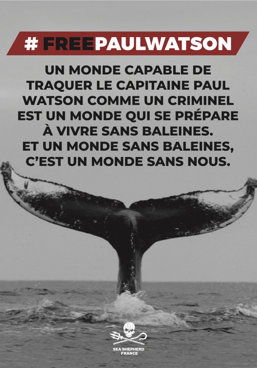 FREE PAUL WATSON 🏴‍☠️✊