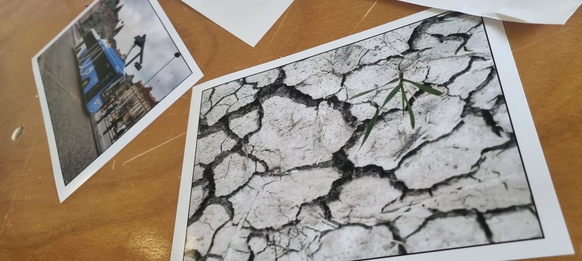 GEM North East tweet media