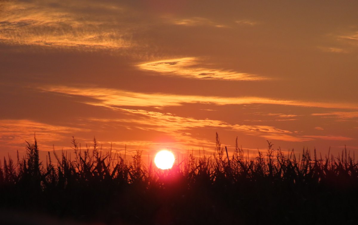 PLKlein_Author's tweet image. "Life consists, not in holding good cards, but in playing those you have well." ~ #JoshBillings #thinkingoutloud #quickquote #WednesdayWisdom #WednesdayMotivation #Life #cards