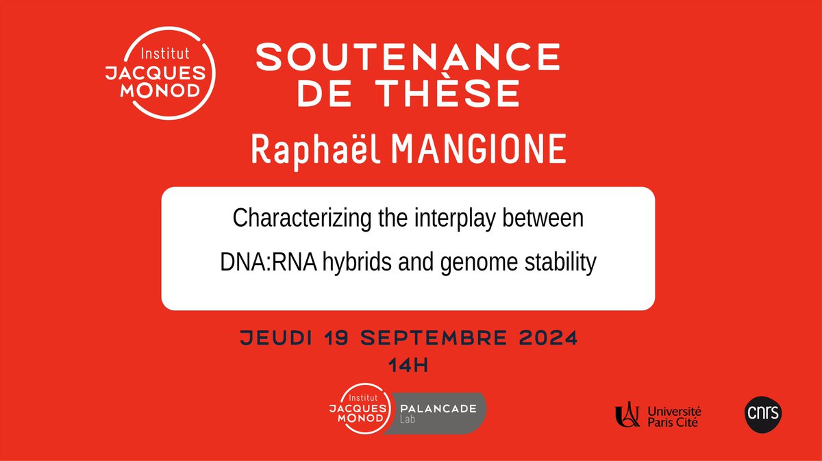 #SaveTheDate

 📅 19 septembre 2024 
📍 Institut Jacques Monod / Salle François Jacob

🎓Raphaël Mangione (<a href="/raphaelmngn/">Raphaël Mangione</a>/@PalancadeLab) va défendre sa thèse "Characterizing the interplay between DNA:RNA hybrids and genome stability"

Plus d'informations ➡️urlr.me/8WYqf