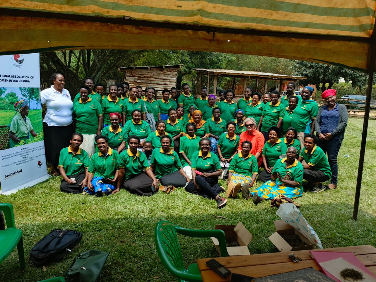 The National Association of Women in Tea Uganda has partnered with #PUM Netherlands to empower women in the tea sector. This collaboration seeks to enhance tea processing, advanced training, and market access, ensuring the long-term sustainability of our #RECLAIM Sustainability!