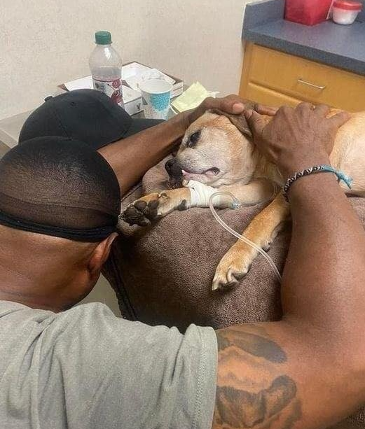 Beyond The Leash tweet media