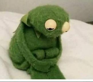 howo1's tweet photo. is das #Kermit oder die #PinAG da vorm Haus https://t.co/Ljw8WYq4yV
