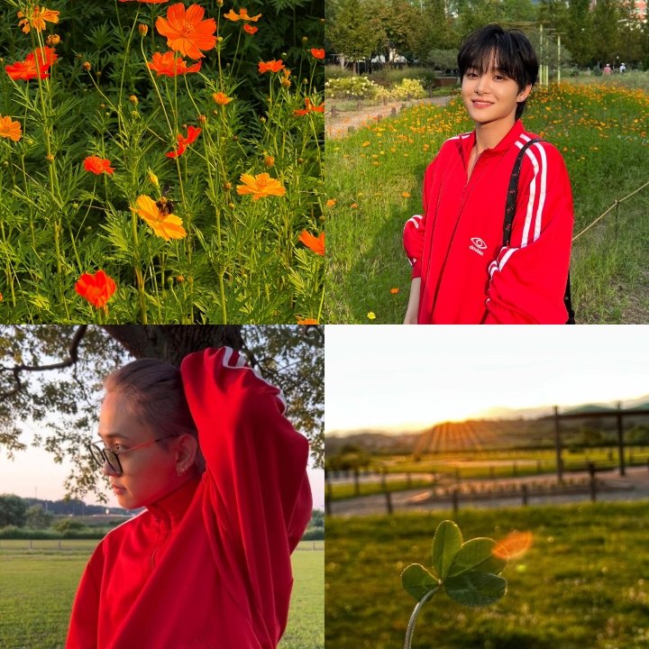 ssa_shaaaa's tweet photo. #mashihoon 🍀🏵️❤️ https://t.co/l2Aa5uNFBf