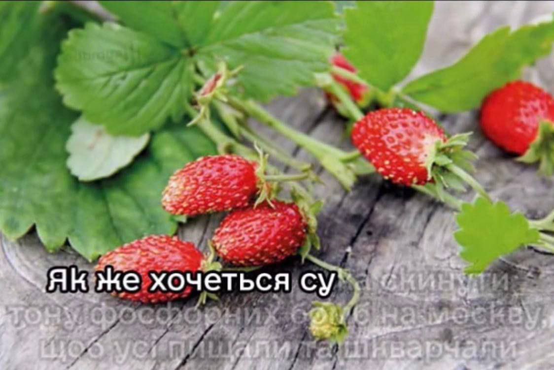 Cimmerian (@gruzovoi3) on Twitter photo 