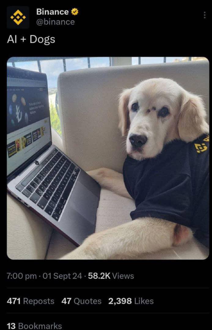 CRYPTO NEWS & HYPE tweet media