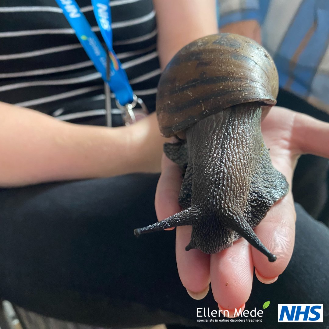 Animal visit at Moorgate🐭

Have you ever held an African snail or a gecko?

This month, our Moorgate patients had the chance to connect with these fascinating animals during a special visit.

#animal #animalvisit #mentalwellbeing #activity #support #mentalhealth