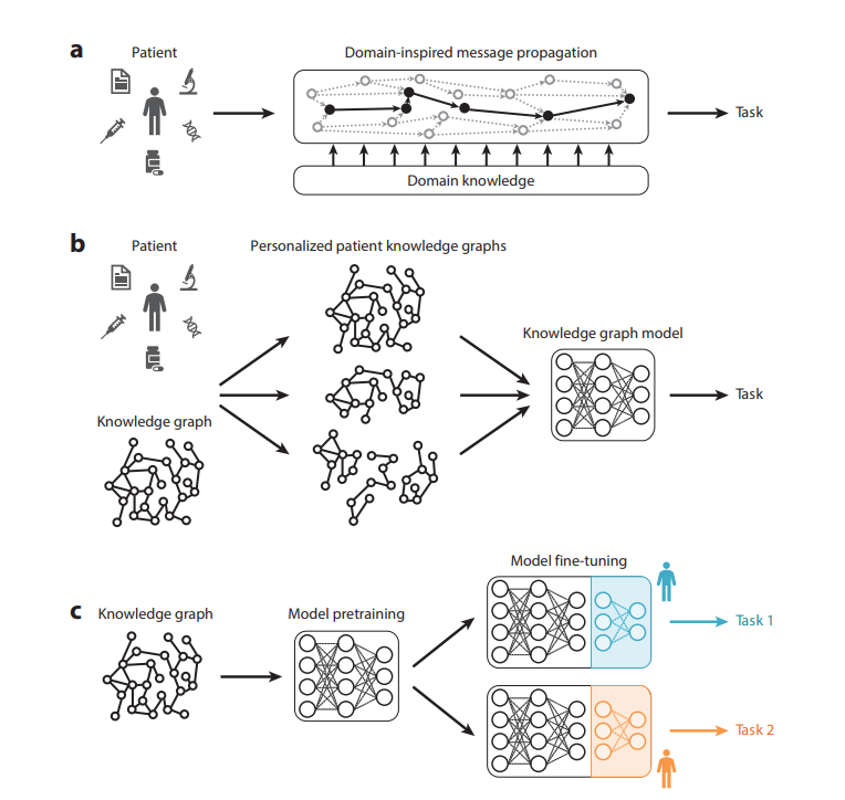 Graph Artificial Intelligence in Medicine

In clinical AI, graph representation learning, mainly through graph neural networks and graph transformer architectures, stands out for its capability to capture intricate relationships and structures within clinical datasets.

With