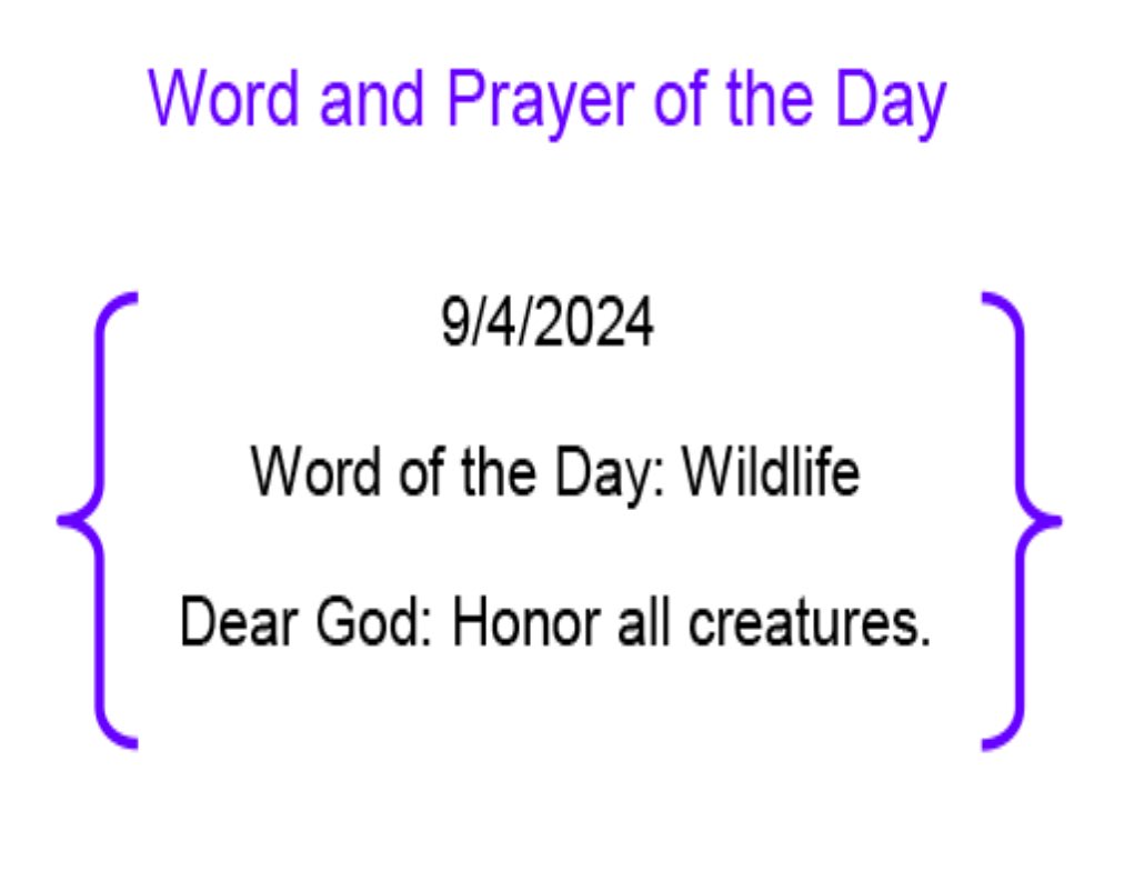 MarieCPO's tweet image. Judsonpress.com #praywithme