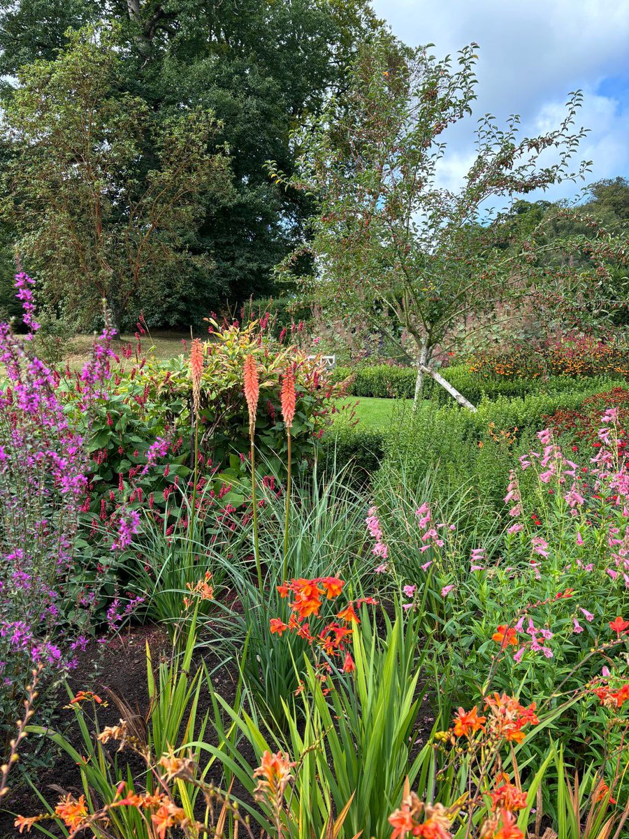 Absolute best of luck to all those starting school, going back to school, college, university, pre-school or nursery in the coming days. 

Just like a garden, you'll bloom and grow into brightest of blooms🌼