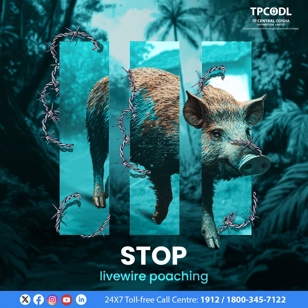 TPCentralOdisha's tweet photo. Livewire poaching results in reduced number of wildlife, affects the local tourism and causes imbalance to the ecosystem.
Stop livewire poaching and take a stand to safeguard our wildlife.
#ProtectOurWildlife #StopLivewirePoaching #TPCODL https://t.co/AXjtneeyZh