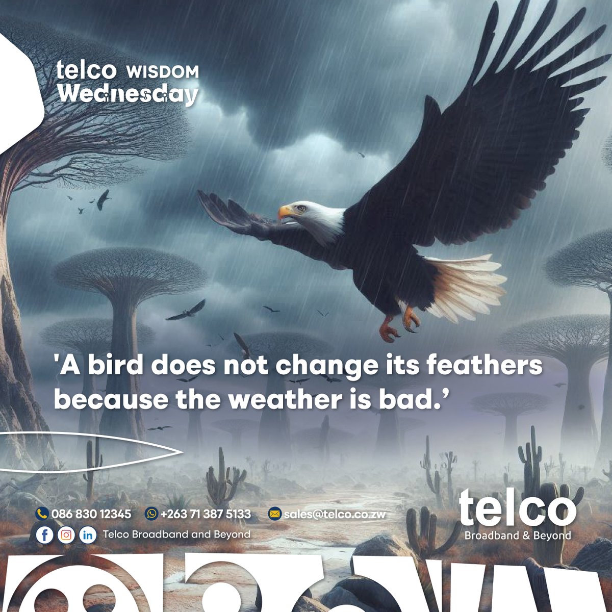 African Proverb: 'A bird does not change its feathers because the weather is bad.' Perseverance is key. Let's get started! #telcoBroadbandandBeyond