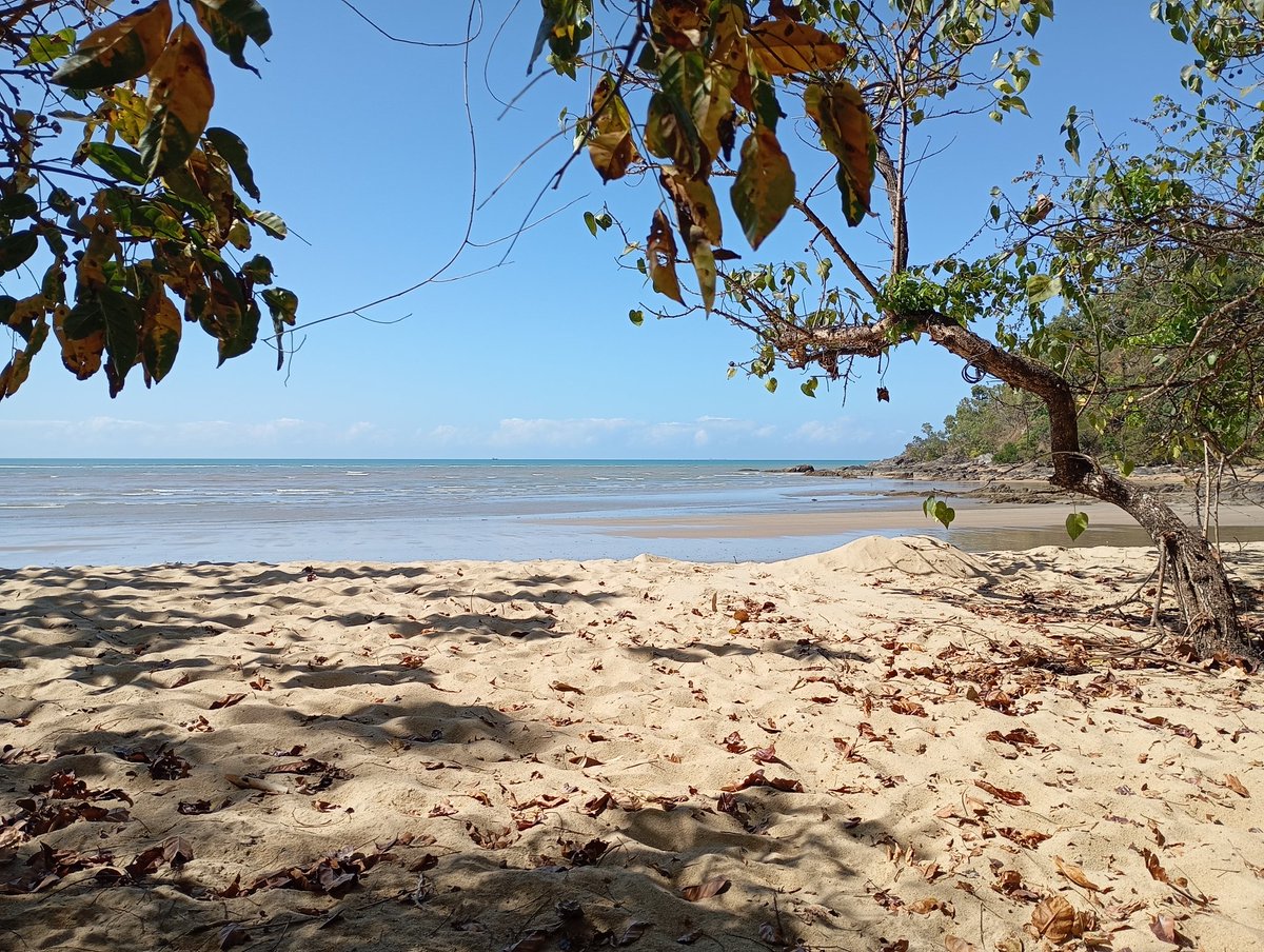 Cairns and Buchan Beach. Still recovering from severe food poisoning. Immerhin...happy spring break, my southern hemisphere colleagues!