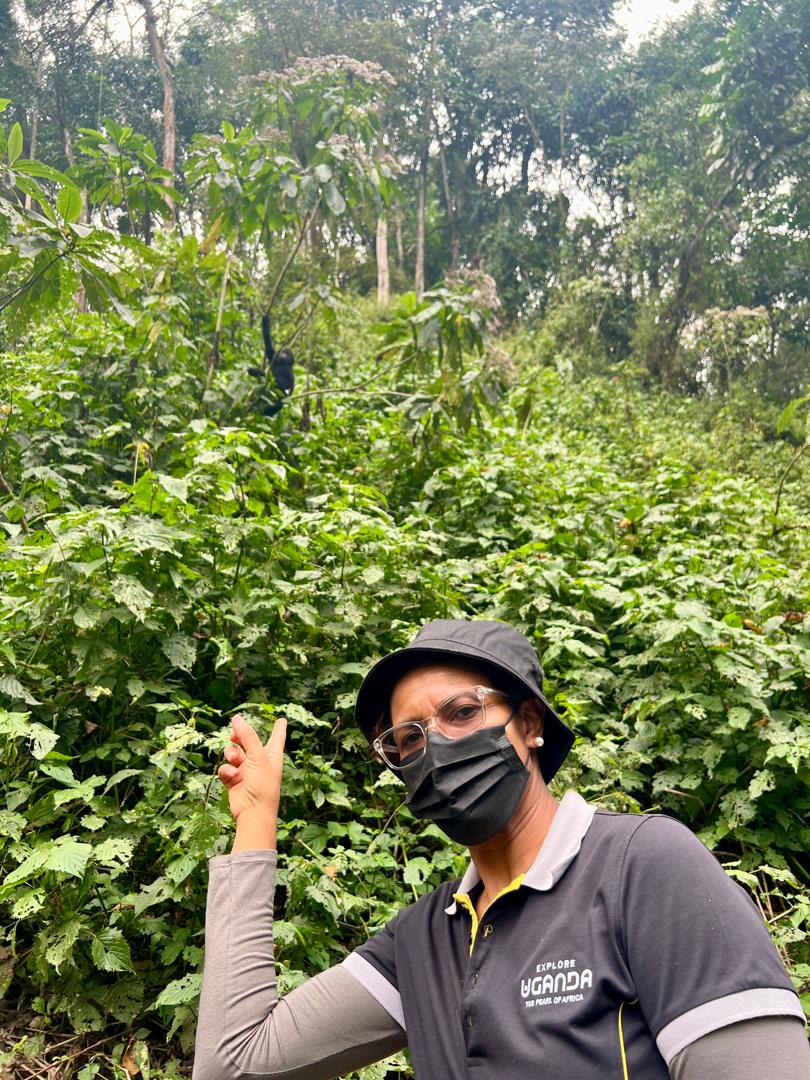 Tracking mountain gorillas in the heart of Uganda’s Bwindi Impenetrable Forest.
If you ever get the chance, don’t miss out on this life-changing adventure! 

#ExploreUganda