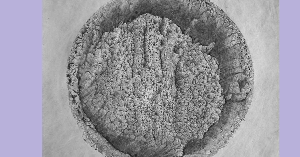 Utica Jazz tweet media