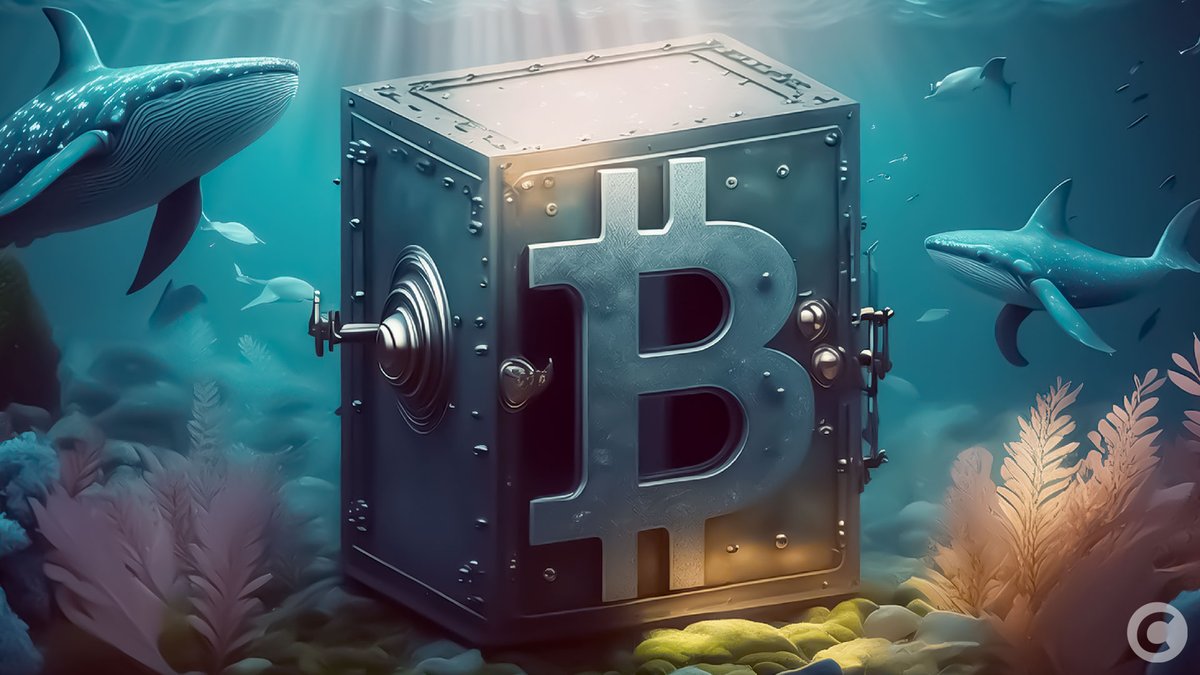 CryptoMania67 tweet media