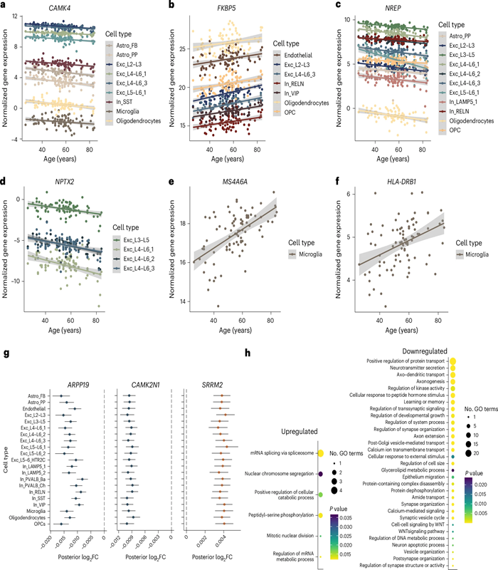 TimePieChina's tweet image. Aging and psychiatric disorders share disrupted synaptic transmission and accelerated transcriptomic #aging, especially in LAMP5+LHX6+ #interneurons.
By @n_gerstner, @MaikKoedel, @natan_yusupov, @natalie_matosin, @CChatzinakos, @JanineArloth, et al.
doi.org/10.1038/s41593…