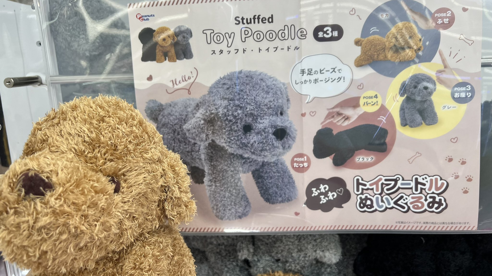 スタッフド トイプードルぬいぐるみ 71k6F2OxdyL._UF894,1000_QL80_.jpg