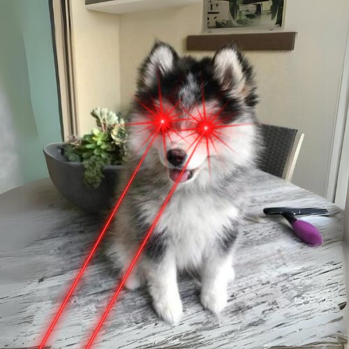 caneonsol tweet media