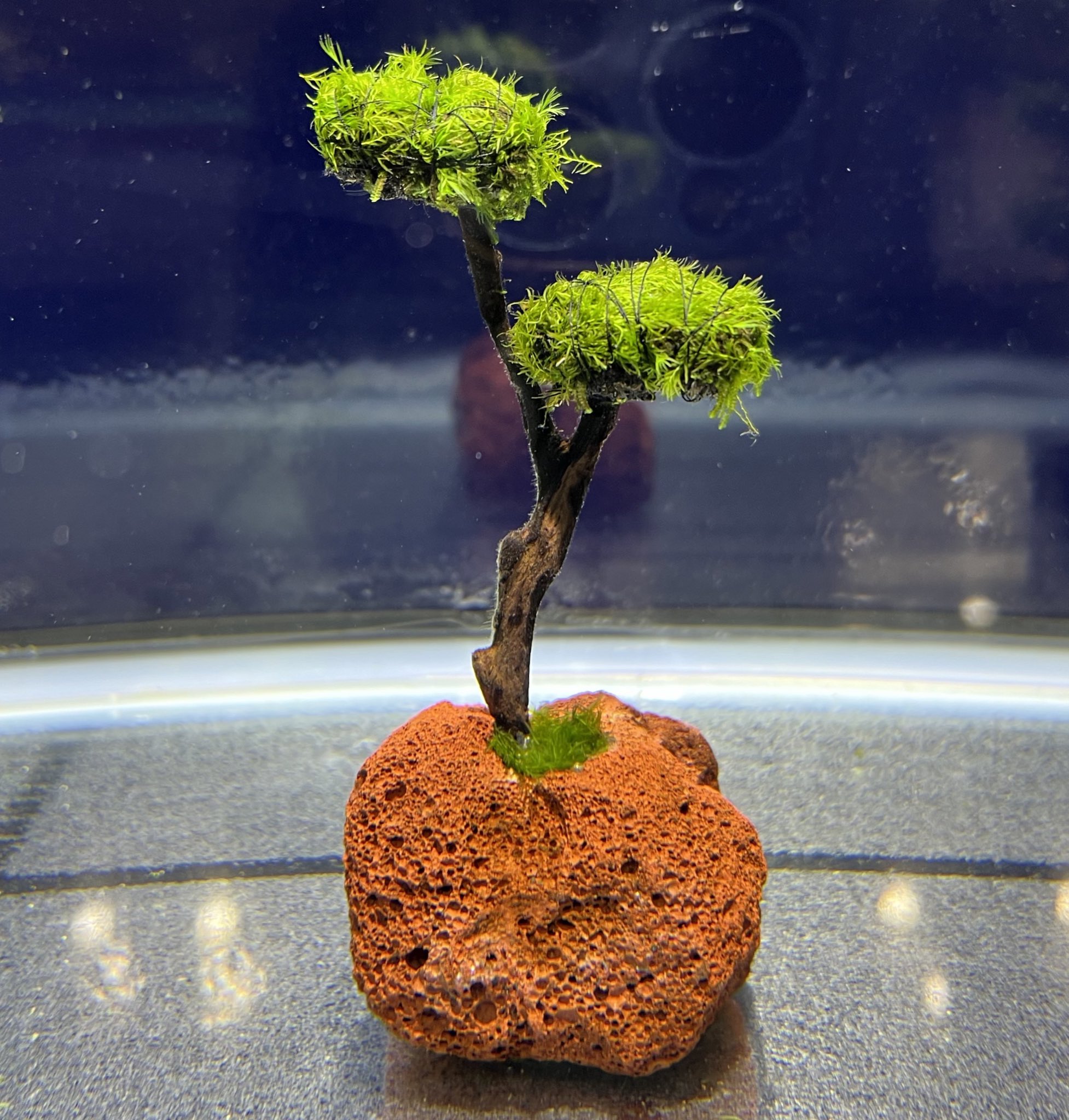 水草 MIZ Mizuno ST-Z 230 | 2025 Hot List | Golf Digest | 2025 Golf