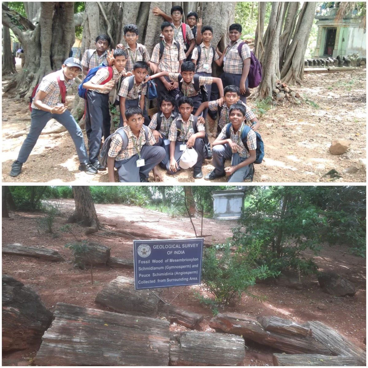 _SRMPS's tweet image. On 31.08.2024, the students of Grade 8 embarked on an incredible field trip to the National Fossil Wood Park at Thiruvakkarai!
#fieldtrip #fossil #fossilwood #ancient #history #earth #forest #learnings #guidance #learningisfun #learningthroughnature #savenature #schoollife