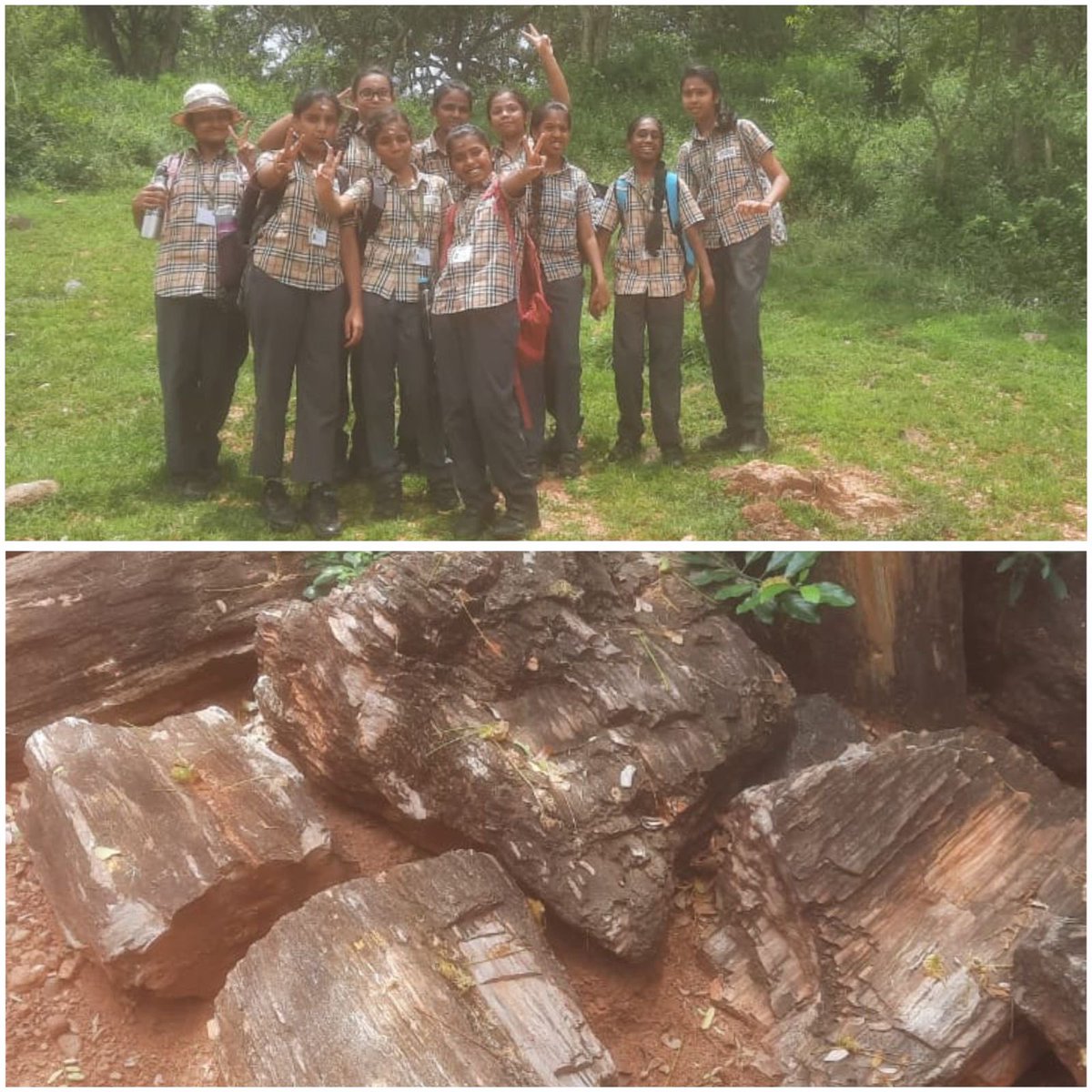_SRMPS's tweet image. On 31.08.2024, the students of Grade 8 embarked on an incredible field trip to the National Fossil Wood Park at Thiruvakkarai!
#fieldtrip #fossil #fossilwood #ancient #history #earth #forest #learnings #guidance #learningisfun #learningthroughnature #savenature #schoollife
