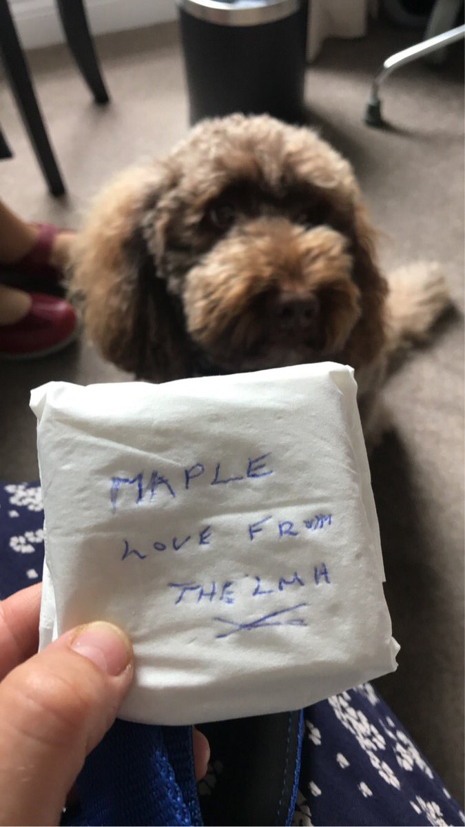 LouDay100's tweet photo. Maple’s bestie at the Care Home and a little packet containing two cream crackers and a Rich Tea biscuit. Therapy Dog 💜💙💜 @essextherapydog https://t.co/H8QAvXC5Xm