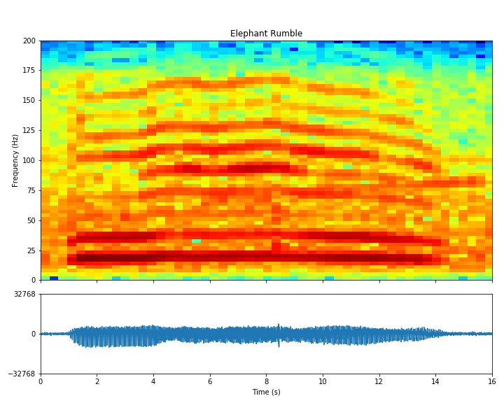 Open Acoustic Devices (@openacoustics) on Twitter photo An infrasonic elephant rumble recorded at <a href="/ZSLWhipsnadeZoo/">Whipsnade Zoo</a> with an AudioMoth and a custom low-frequency microphone and low-pass amplifier as part of the <a href="/WILDLABSNET/">WILDLABS Community</a> awards 2024, together with <a href="/OfficialZSL/">ZSL</a> #Tech4Wildlife. An infrasonic elephant rumble recorded at <a href="/ZSLWhipsnadeZoo/">Whipsnade Zoo</a> with an AudioMoth and a custom low-frequency microphone and low-pass amplifier as part of the <a href="/WILDLABSNET/">WILDLABS Community</a> awards 2024, together with <a href="/OfficialZSL/">ZSL</a> #Tech4Wildlife.