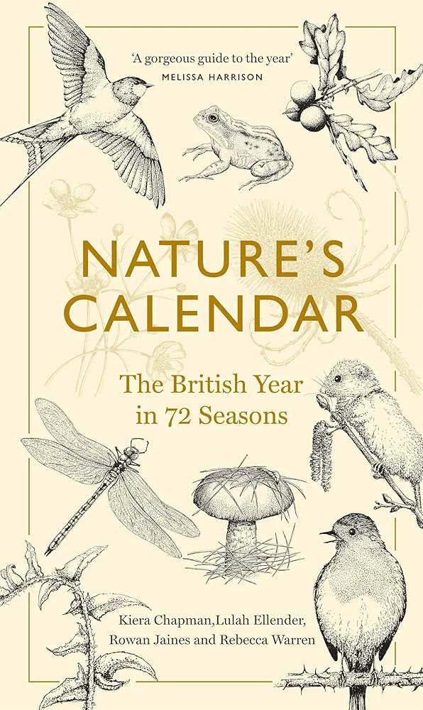 It's new edition launch day!! What are you noticing today? 

Love this tweet from Zarita about their noticing practice!