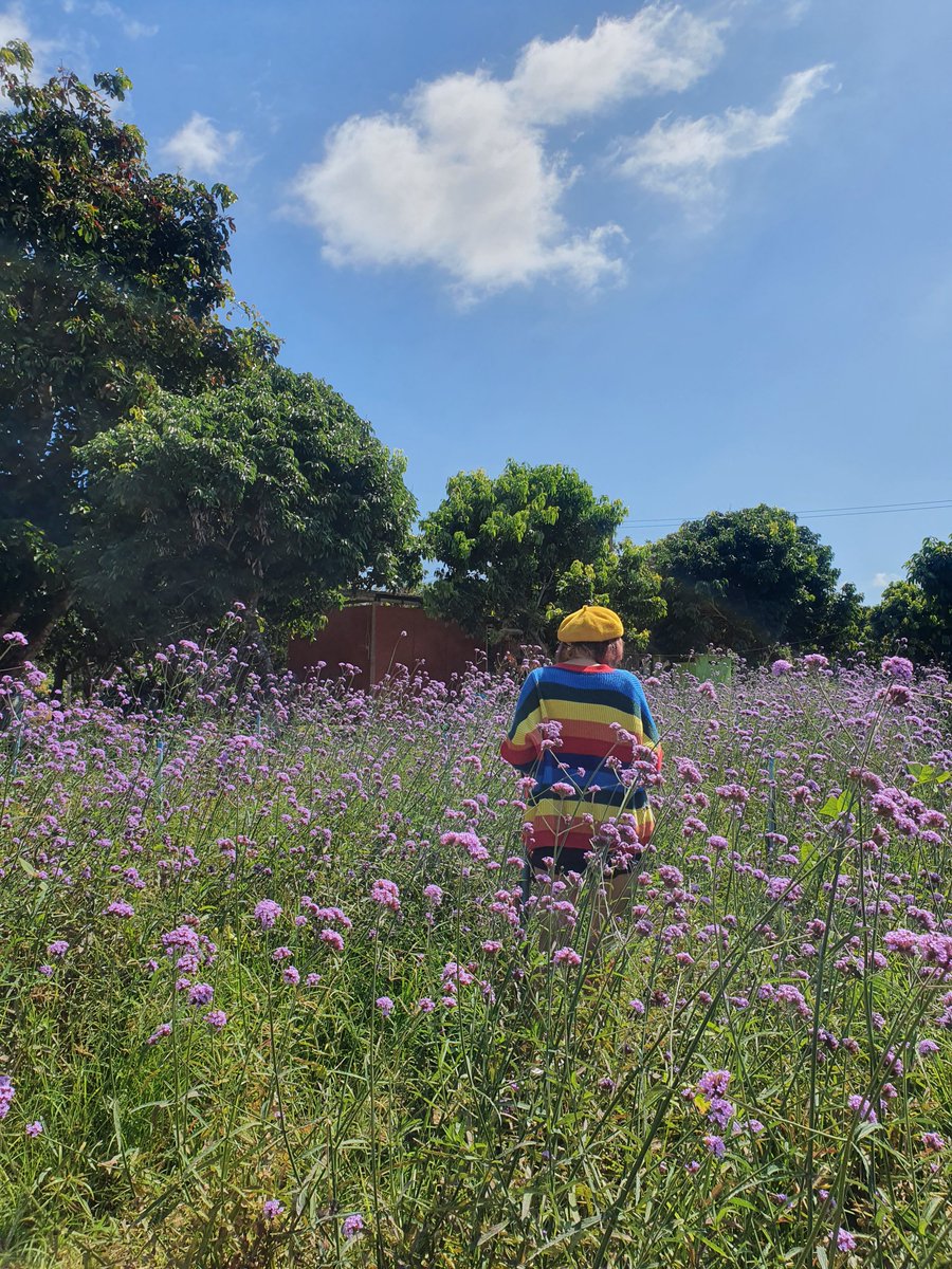 🌤️ ดออาดายออะยะ (◜◡◝.) tweet media