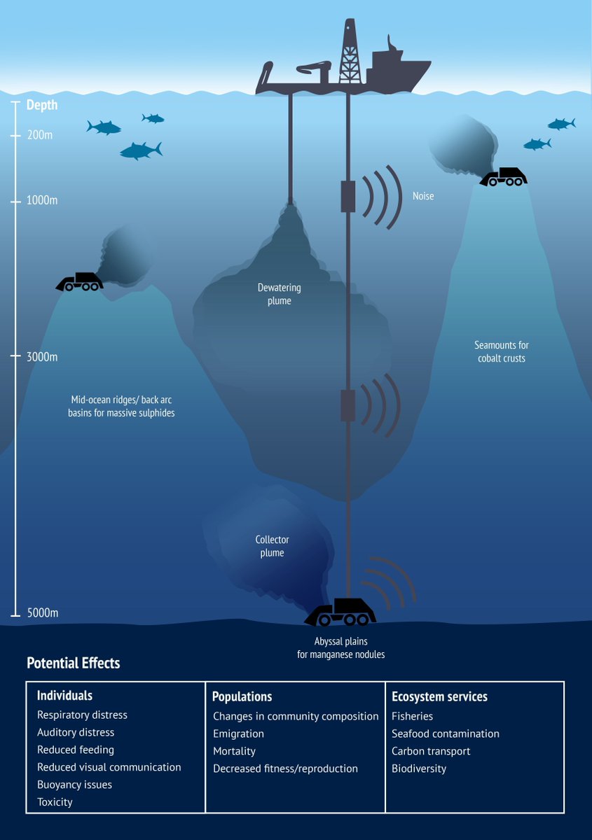 Carbon Brief tweet media