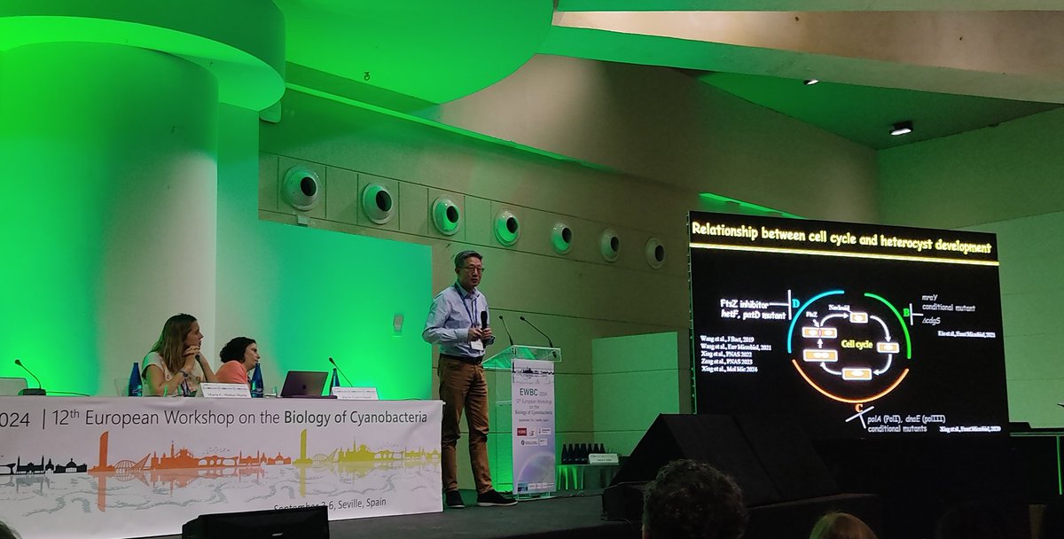 ewbc2024's tweet image. First talks of the cell biology session!!