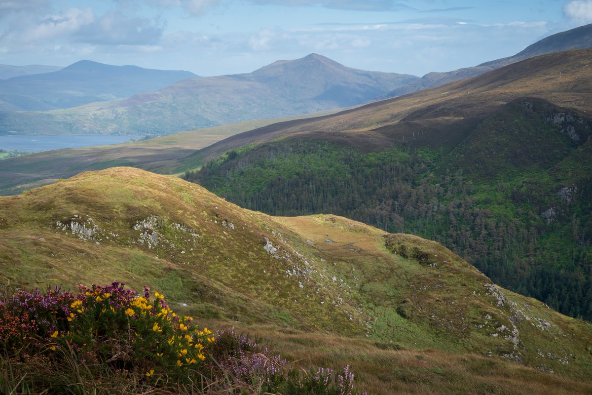 A scene from torc Mountain, Co. Kerry in #Ireland 
#StormHour
