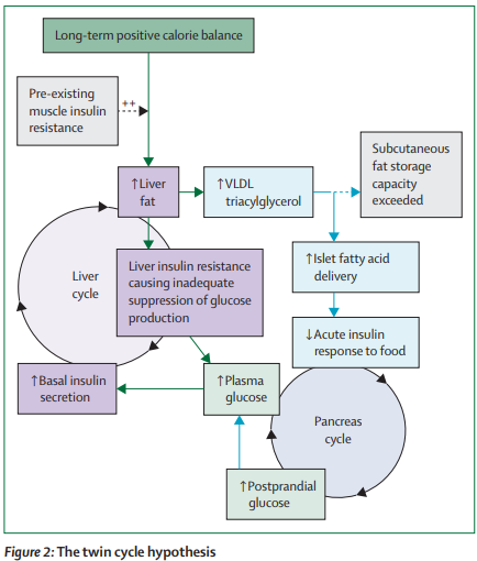 Read Roy Taylor on: Understanding the cause of type 2 #diabetes thelancet.com/journals/landi…  
#T2D #overnutrition 
#EASD2024  56th Claude Bernard Lecture