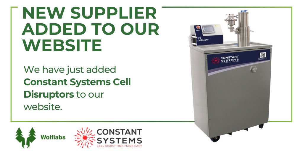 WolfLabs tweet media