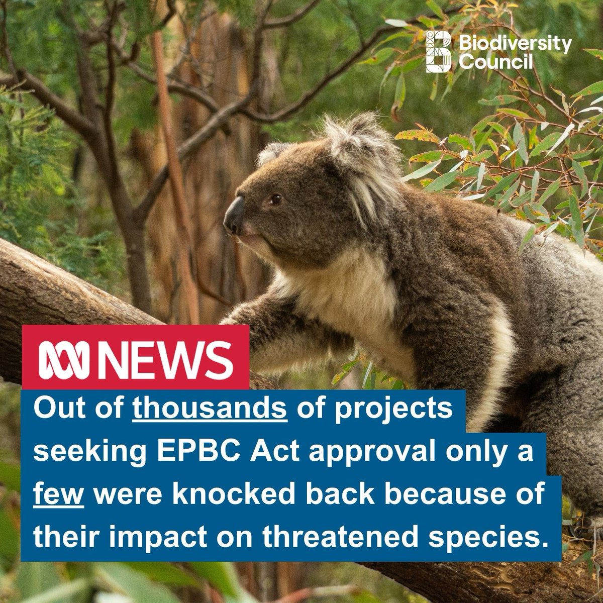 More evidence that our national environmental protection law - the EPBC Act - does not fulfil its aim of protecting important species or places. It's time to bring in national environmental standards that are enforced by a strong independent environmental regulator.

Great