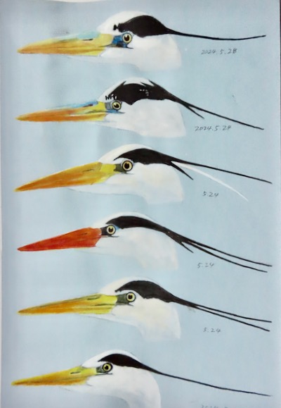 #アオサギの肖像 #GreyHeron #ラフスケッチ #BirdsArt