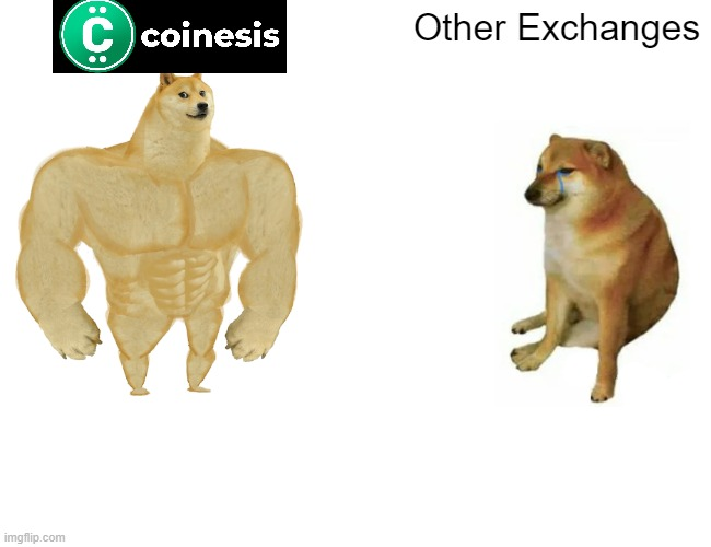 Rajnohtkaf⏳ tweet media