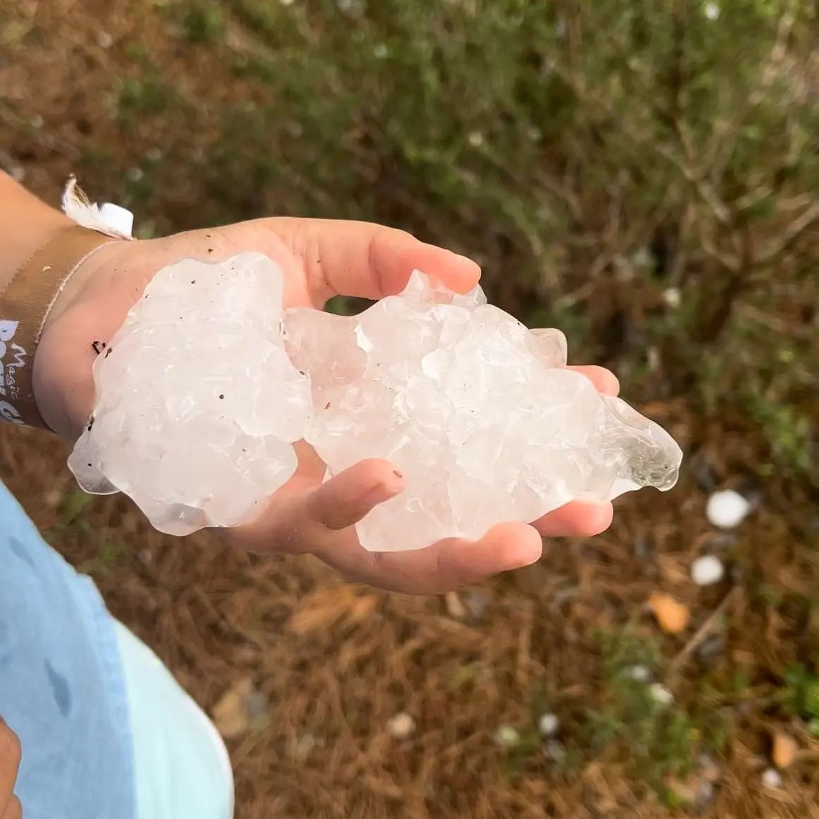 Tomas Pucik tweet media