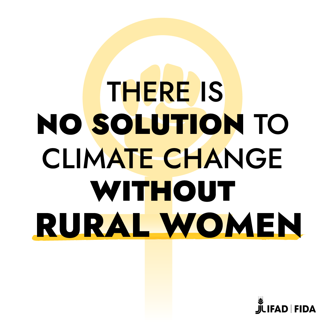 International Fund for Agricultural Development tweet media