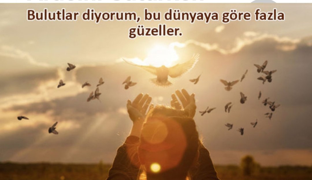 Süleyman KURU (@slymn0808) on Twitter photo 