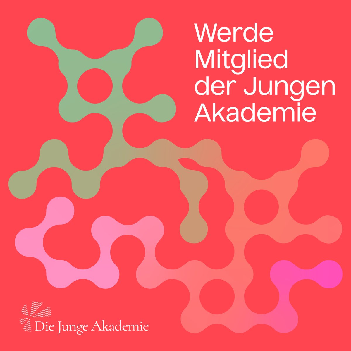 Neue Mitglieder gesucht! Ab sofort können sich junge Wissenschaftler*innen &amp; Künstler*innen mit Freude am interdisziplinären Austausch an den Schnittstellen von Wissenschaft, Kunst, Gesellschaft &amp; Politik für die Zuwahl 2025 bewerben. 🔗diejungeakademie.de/de/mitglied-we…