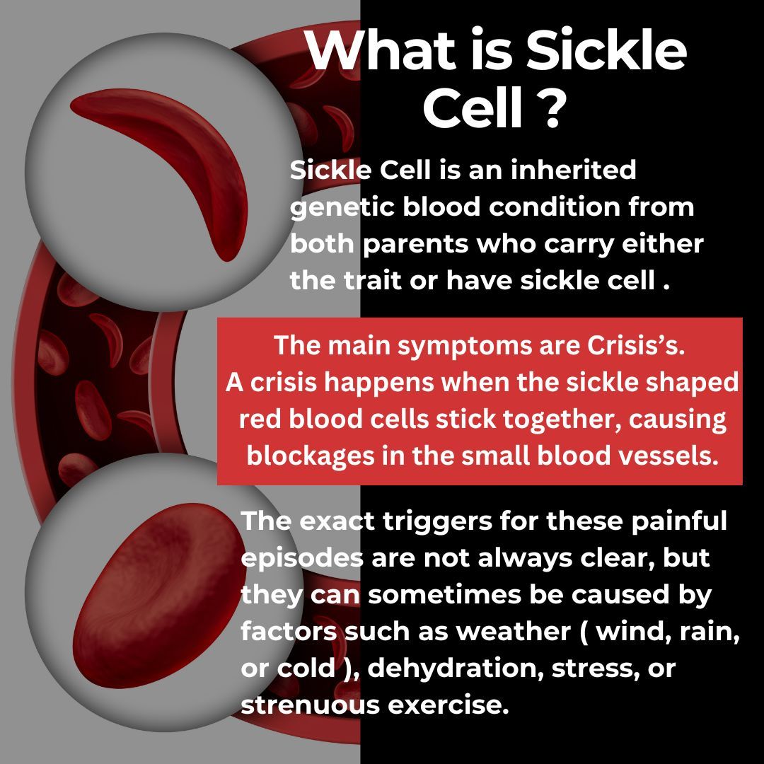 SickleCellUK's tweet photo. What is Sickle Cell? It’s a genetic condition where red blood cells become sickle-shaped, leading to pain and potential organ damage. Have tips on managing triggers? Share in the comments!

For more info, visit: https://t.co/faY1N2kfOk 🔗

#SickleCellAwareness #HealthMatters https://t.co/tjoXLWHYbd
