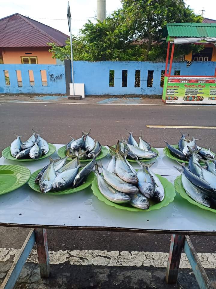 Sinhardjun's tweet photo. Rabu (04-09-2024) @Sinhardjun
Luhkan Kota Ternate mendata  hasil pemasar ibu Ija Darpo Kel. Jambula Kec. Pulau Ternate, abon ikan Selar 48 Kg harga jual 30.000/Kg #GiatLuhkanSatminkalAmbon #puslatluh #produksi #Ternate https://t.co/FmjM9dFQwd