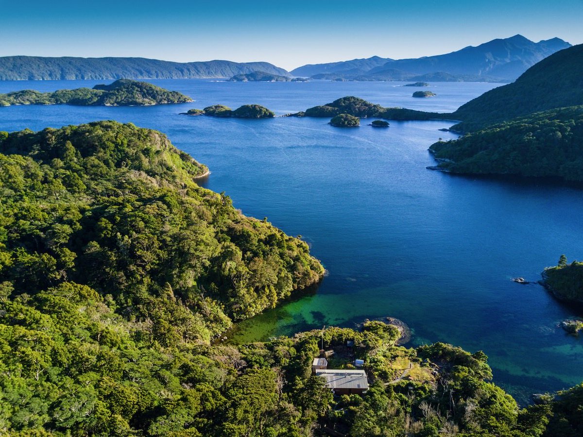 Want to work for the #kakapo and #takahe teams at the Department of Conservation? We're hiring an infrastructure ranger to support our work at some of the most beautiful and important #conservation sites in Aotearoa. #jobs 

careers.doc.govt.nz/jobtools/jncus…
