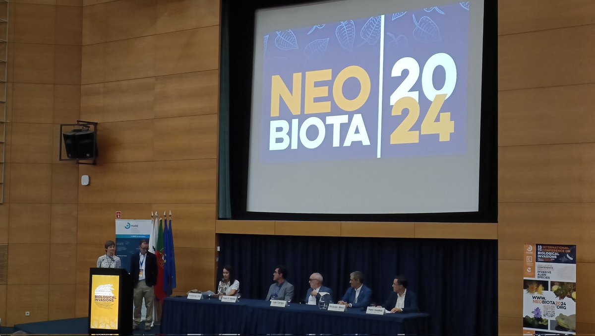 Dr. Irene Martín-Forés tweet media