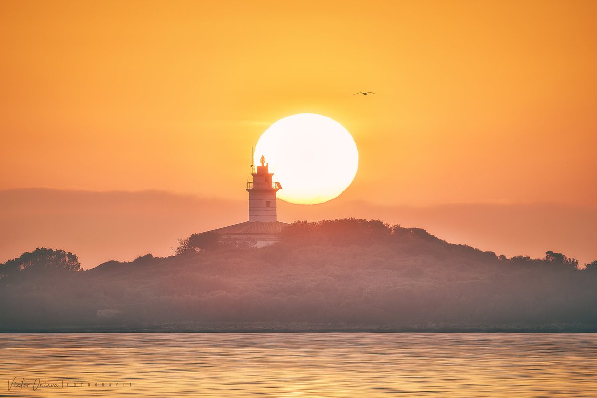 Víctor Onieva Oñate (@victoronieva82) on Twitter photo Faros de #Mallorca:
1.Faro de Cala Figuera
2.Faro de Formentor
3.Faro de Portocolom
4.Faro de Aucanada
<a href="/NatGeoEsp/">National Geographic España</a> <a href="/NASA_es/">NASA en español</a> <a href="/esa_es/">ESA España</a> <a href="/VanguardPhotoES/">Vanguard España</a> <a href="/SonyEspana/">Sony España</a> <a href="/TurismeBalears/">Turismo Illes Balears</a> <a href="/TempsIB3/">El temps IB3</a> <a href="/mallorcatourism/">Mallorca.es</a> <a href="/tiempobrasero/">Tutiempo</a> <a href="/El_Universo_Hoy/">El Universo Hoy 🧈</a> <a href="/MeteoBalears/">MeteoBalears</a> <a href="/ElTiempo_tve/">El Tiempo en TVE</a> <a href="/ThePhotoHour/">#ThePhotoHour</a> Faros de #Mallorca:
1.Faro de Cala Figuera
2.Faro de Formentor
3.Faro de Portocolom
4.Faro de Aucanada
<a href="/NatGeoEsp/">National Geographic España</a> <a href="/NASA_es/">NASA en español</a> <a href="/esa_es/">ESA España</a> <a href="/VanguardPhotoES/">Vanguard España</a> <a href="/SonyEspana/">Sony España</a> <a href="/TurismeBalears/">Turismo Illes Balears</a> <a href="/TempsIB3/">El temps IB3</a> <a href="/mallorcatourism/">Mallorca.es</a> <a href="/tiempobrasero/">Tutiempo</a> <a href="/El_Universo_Hoy/">El Universo Hoy 🧈</a> <a href="/MeteoBalears/">MeteoBalears</a> <a href="/ElTiempo_tve/">El Tiempo en TVE</a> <a href="/ThePhotoHour/">#ThePhotoHour</a>
